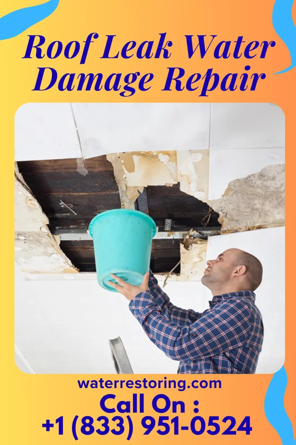 Roof Leak Water Damage Repair in Elk Park, NC