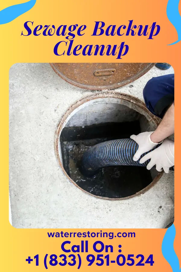 Sewage Backup Cleanup in Elk Park, NC