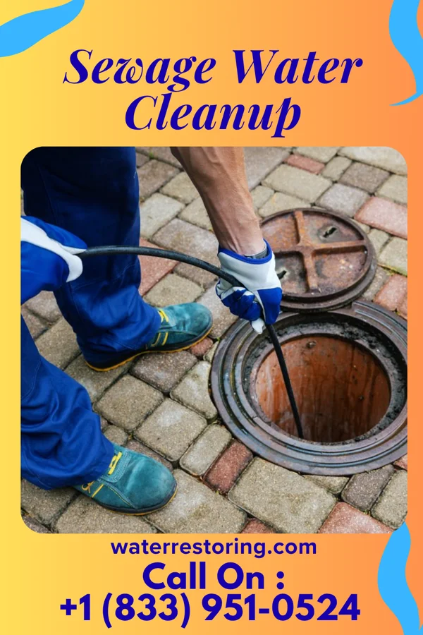 Sewage Water Cleanup in Elk Park, NC