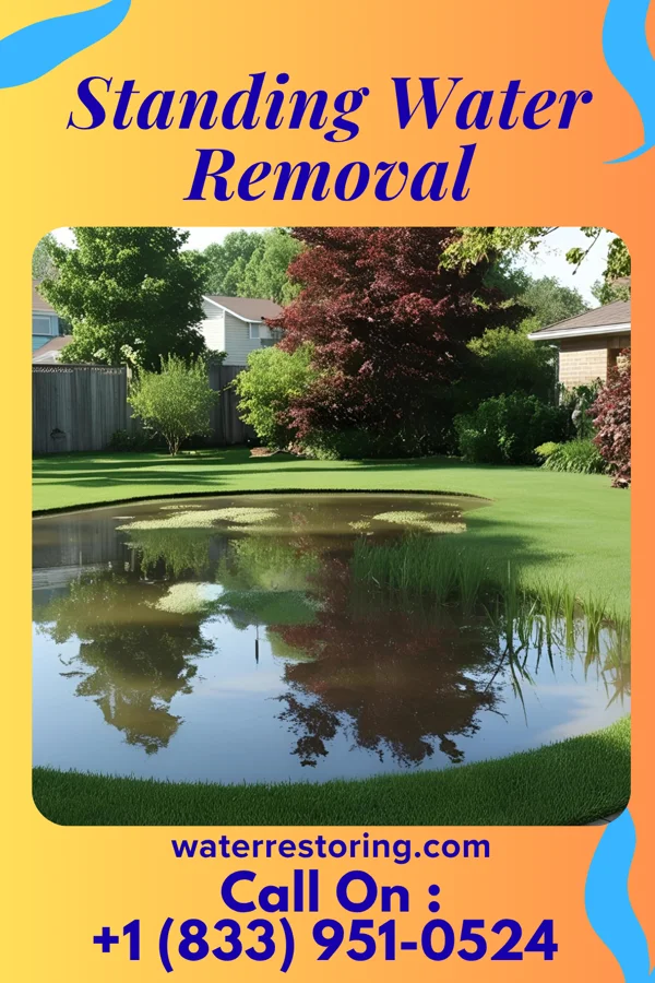 Standing Water Removal in Elk Park, NC